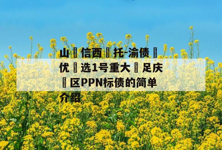 山‮信西‬托-渝债‮优‬选1号重大‮足庆‬区PPN标债的简单介绍