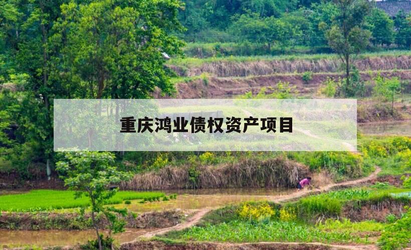 重庆鸿业债权资产项目