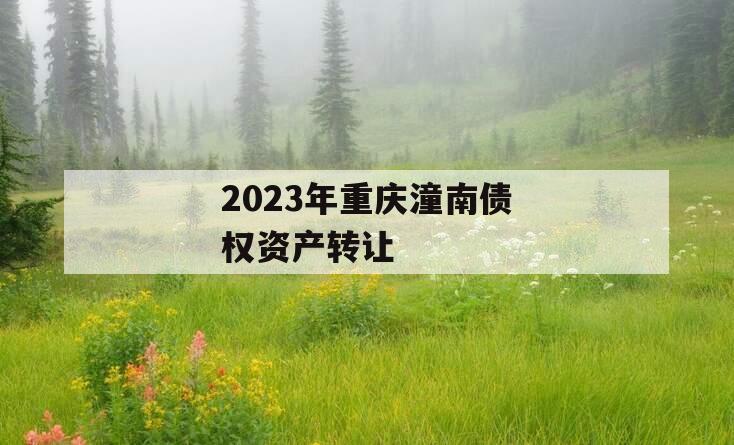 2023年重庆潼南债权资产转让
