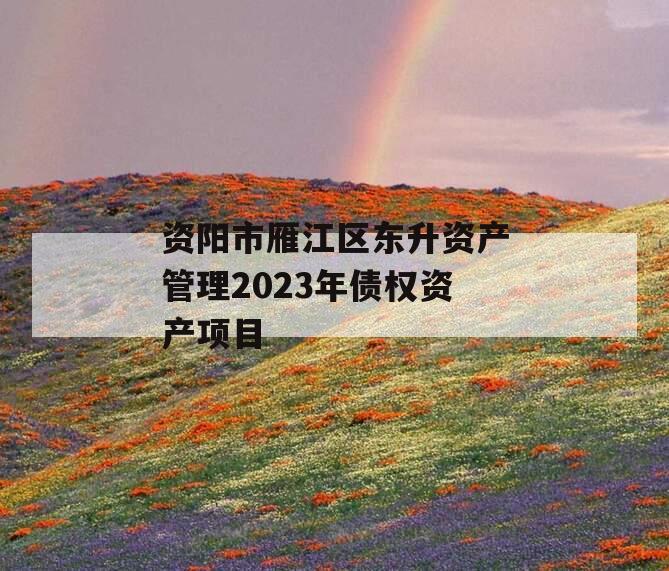资阳市雁江区东升资产管理2023年债权资产项目 资阳市雁江区东升资产管理2023年债权资产项目