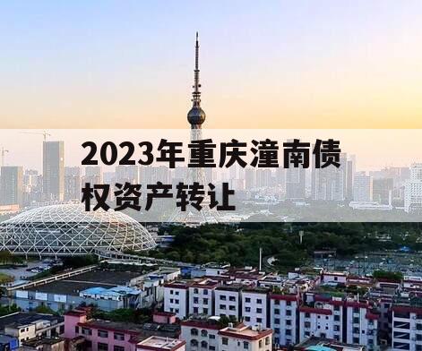 2023年重庆潼南债权资产转让