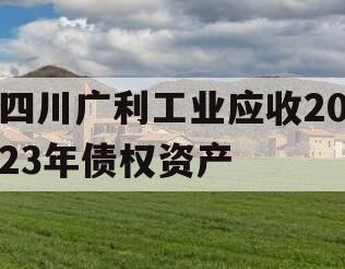 四川广利工业应收2023年债权资产