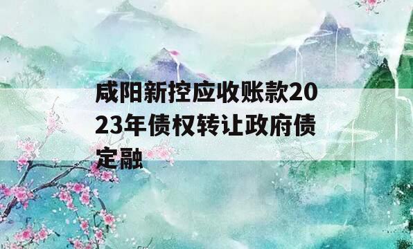 咸阳新控应收账款2023年债权转让政府债定融 咸阳新控应收账款2023年债权转让政府债定融