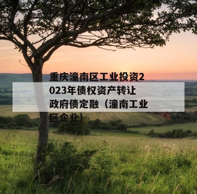 重庆潼南区工业投资2023年债权资产转让政府债定融（潼南工业区企业）