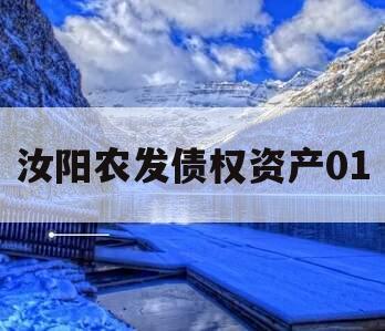 汝阳农发债权资产01