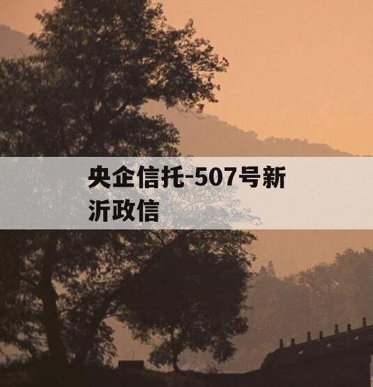央企信托-507号新沂政信