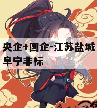 央企+国企-江苏盐城阜宁非标