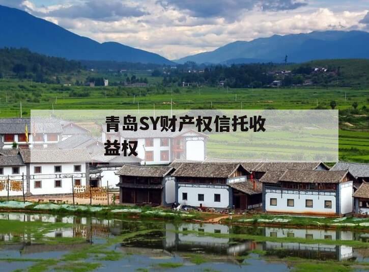 青岛SY财产权信托收益权