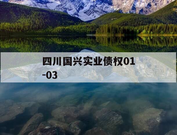 四川国兴实业债权01-03