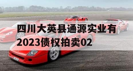 四川大英县通源实业有2023债权拍卖02