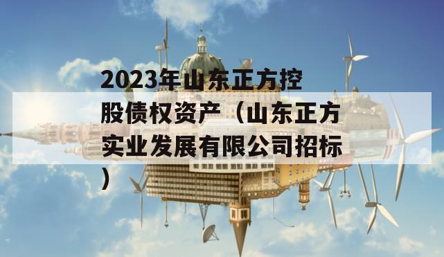 2023年山东正方控股债权资产（山东正方实业发展有限公司招标）