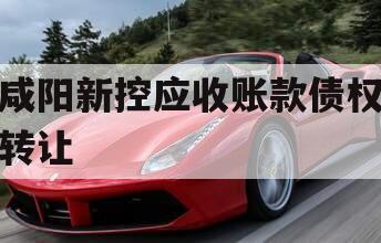 咸阳新控应收账款债权转让