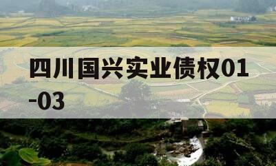 四川国兴实业债权01-03