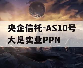 央企信托-AS10号大足实业PPN