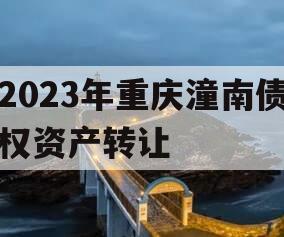 2023年重庆潼南债权资产转让