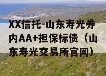 XX信托-山东寿光券内AA+担保标债（山东寿光交易所官网）