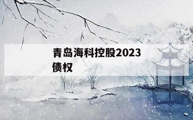 青岛海科控股2023债权