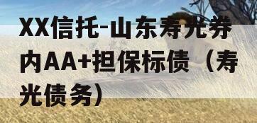 XX信托-山东寿光券内AA+担保标债（寿光债务）