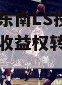 湖北鄂东南LS投资发展信托收益权转让系列产品