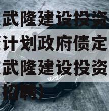 重庆武隆建设投资债权融资计划政府债定融（重庆武隆建设投资有限公司招聘）