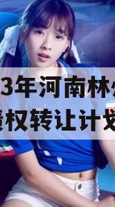 2023年河南林州城投债权转让计划