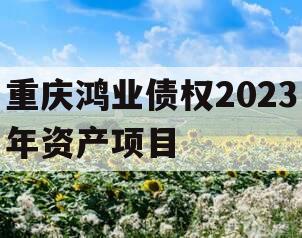 重庆鸿业债权2023年资产项目