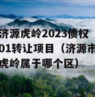 济源虎岭2023债权01转让项目（济源市虎岭属于哪个区）