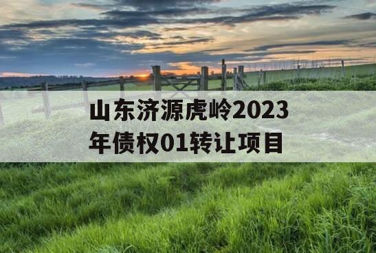 山东济源虎岭2023年债权01转让项目