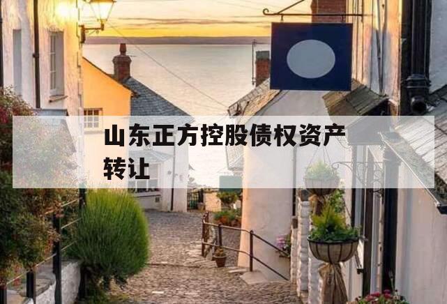 山东正方控股债权资产转让