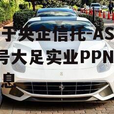 关于央企信托-AS10号大足实业PPN的信息