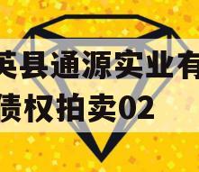 大英县通源实业有2023债权拍卖02