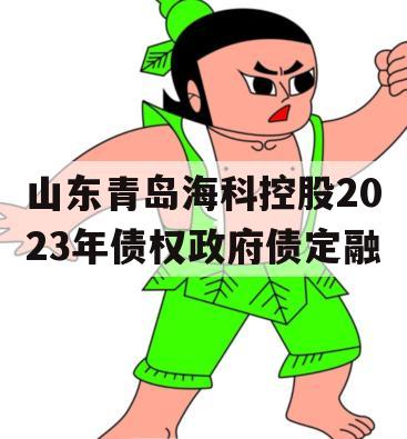 山东青岛海科控股2023年债权政府债定融