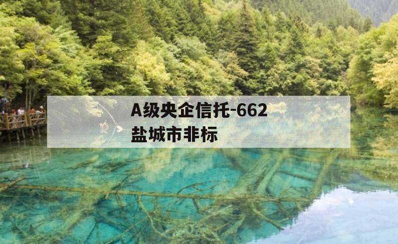 A级央企信托-662盐城市非标