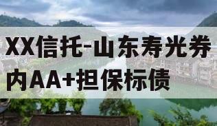 XX信托-山东寿光券内AA+担保标债