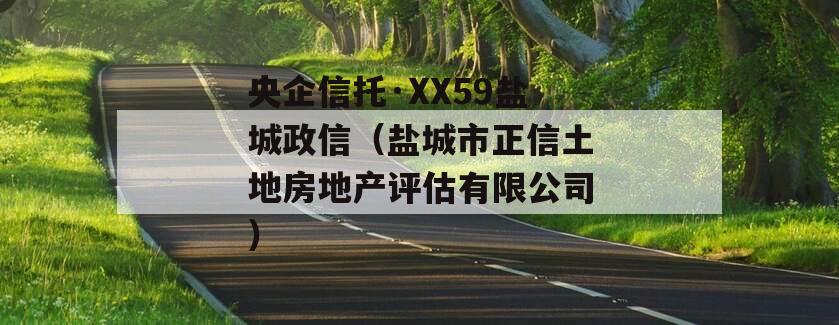 央企信托·XX59盐城政信（盐城市正信土地房地产评估有限公司）
