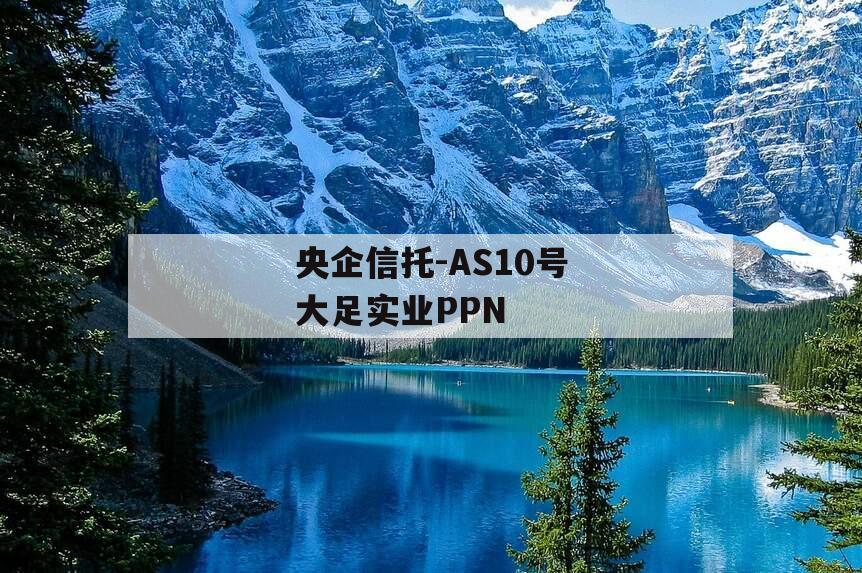 央企信托-AS10号大足实业PPN