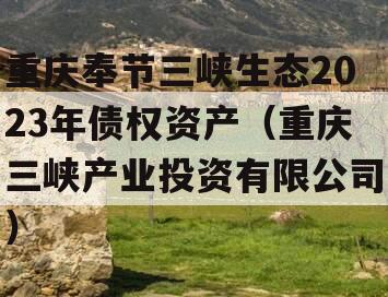 重庆奉节三峡生态2023年债权资产（重庆三峡产业投资有限公司）
