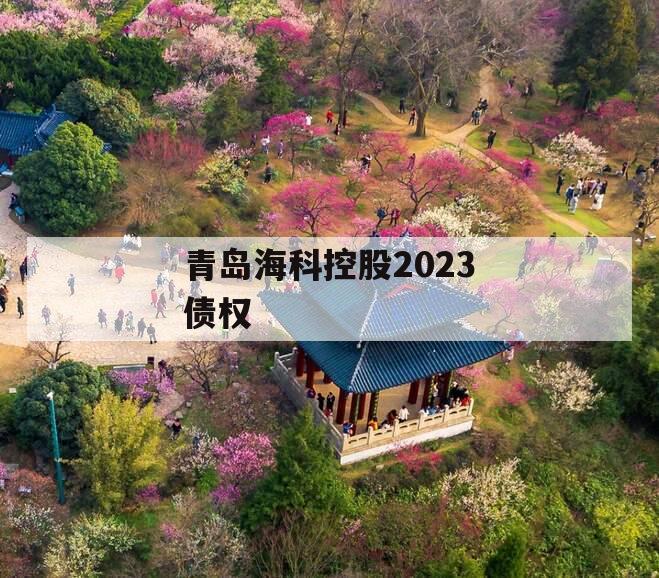 青岛海科控股2023债权