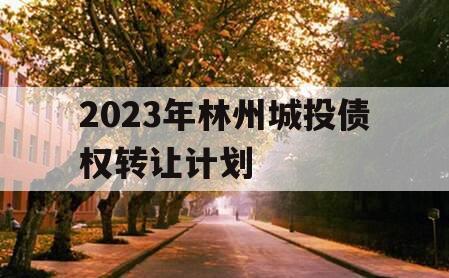 2023年林州城投债权转让计划
