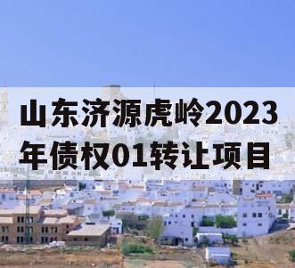 山东济源虎岭2023年债权01转让项目 山东济源虎岭2023年债权01转让项目