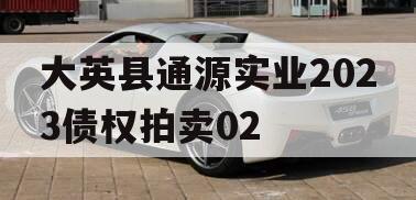 大英县通源实业2023债权拍卖02