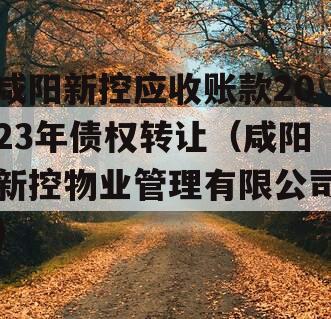 咸阳新控应收账款2023年债权转让（咸阳新控物业管理有限公司）