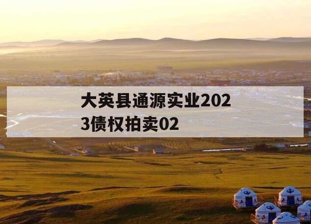 大英县通源实业2023债权拍卖02