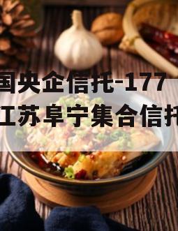 中国央企信托-177号江苏阜宁集合信托计划