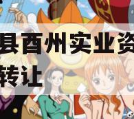 酉阳县酉州实业资产收益权转让