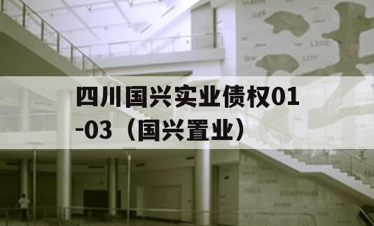 四川国兴实业债权01-03（国兴置业）
