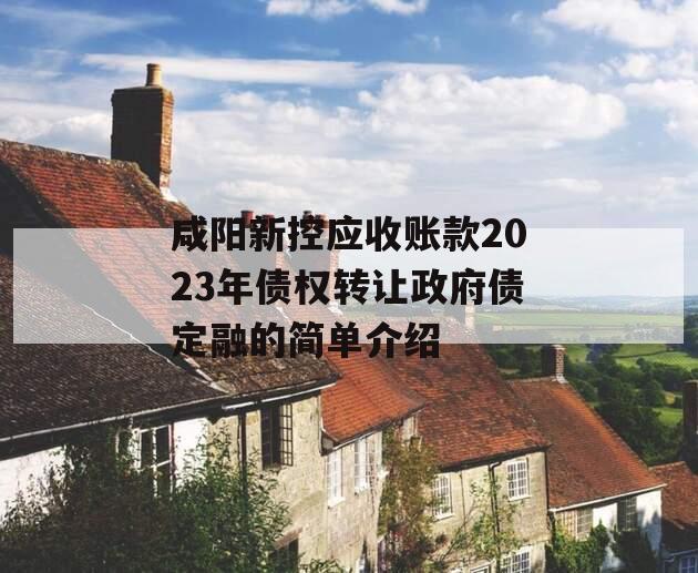 咸阳新控应收账款2023年债权转让政府债定融的简单介绍