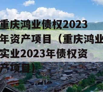 重庆鸿业债权2023年资产项目（重庆鸿业实业2023年债权资产项目）