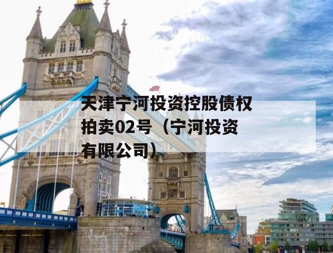 天津宁河投资控股债权拍卖02号（宁河投资有限公司）