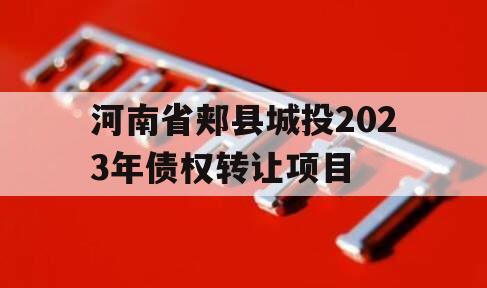 河南省郏县城投2023年债权转让项目